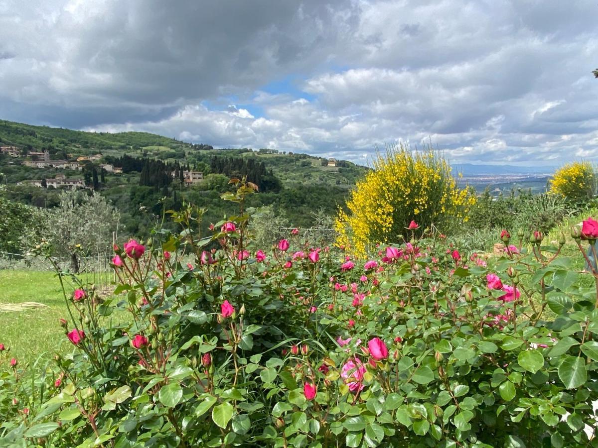 Florence Villa Violetta بانيو أَ ريبولِ المظهر الخارجي الصورة