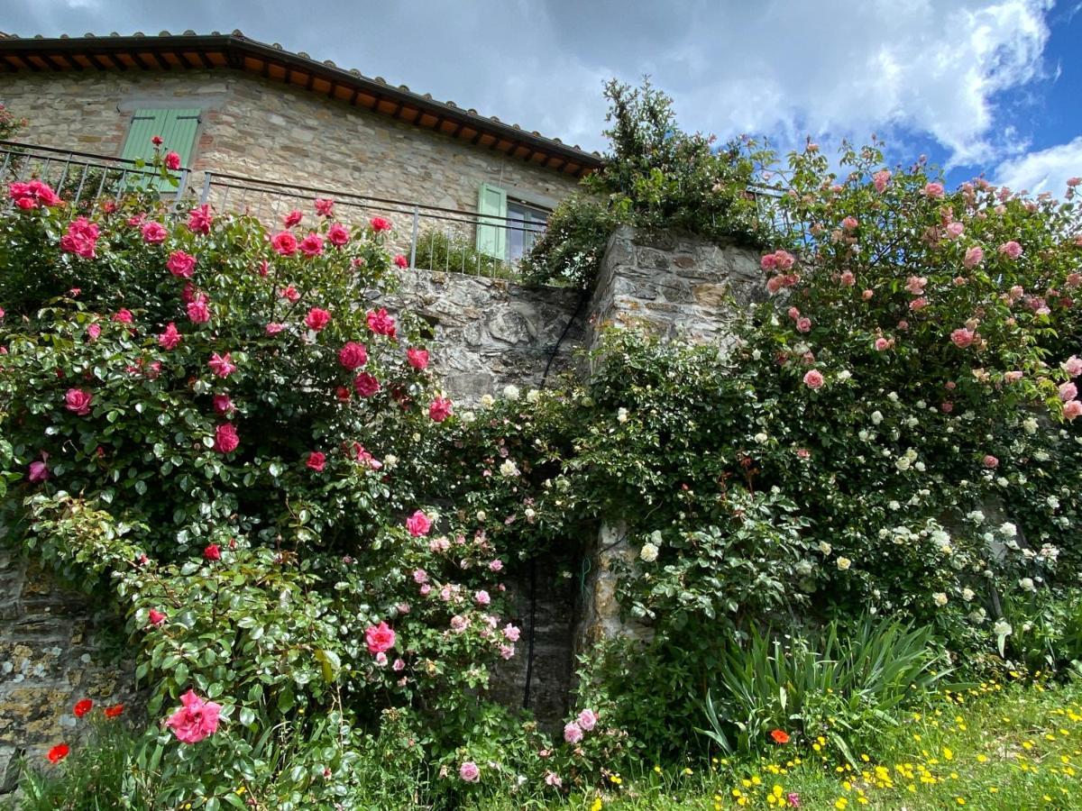 Florence Villa Violetta بانيو أَ ريبولِ المظهر الخارجي الصورة