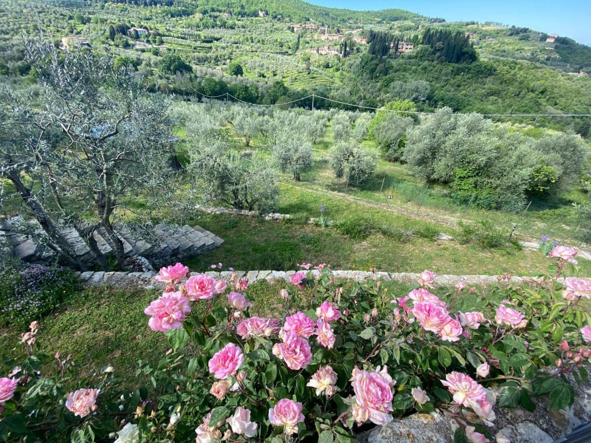 Florence Villa Violetta بانيو أَ ريبولِ المظهر الخارجي الصورة