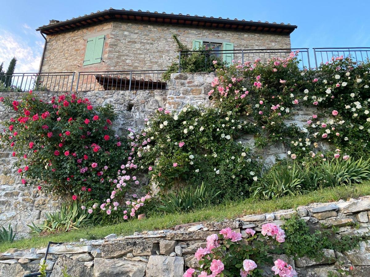 Florence Villa Violetta بانيو أَ ريبولِ المظهر الخارجي الصورة