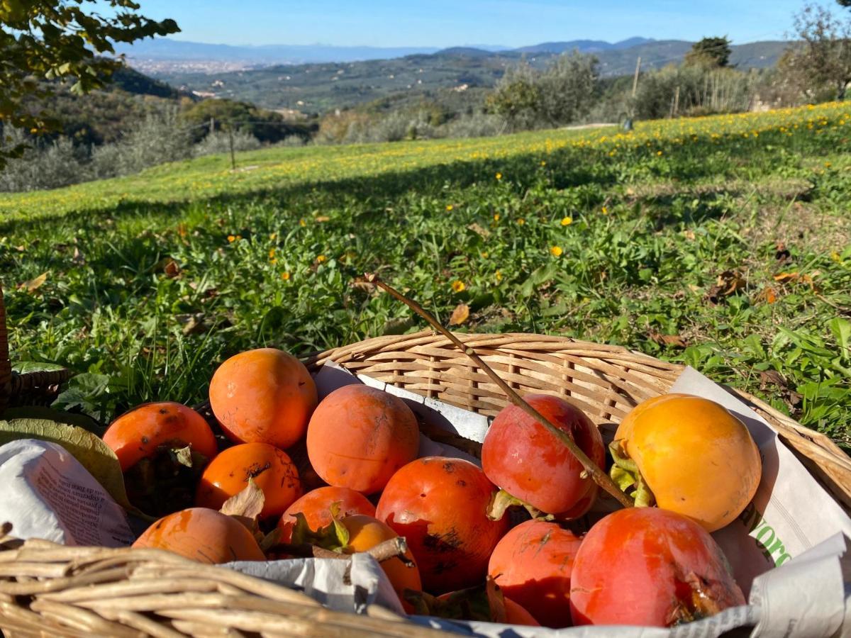 Florence Villa Violetta بانيو أَ ريبولِ المظهر الخارجي الصورة