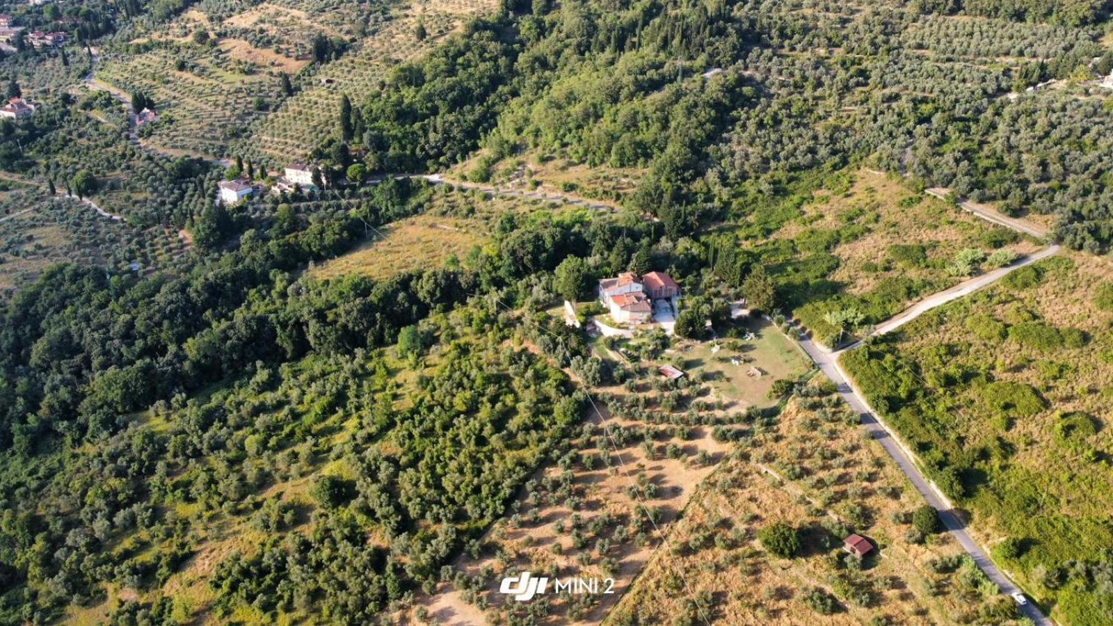 Florence Villa Violetta بانيو أَ ريبولِ المظهر الخارجي الصورة